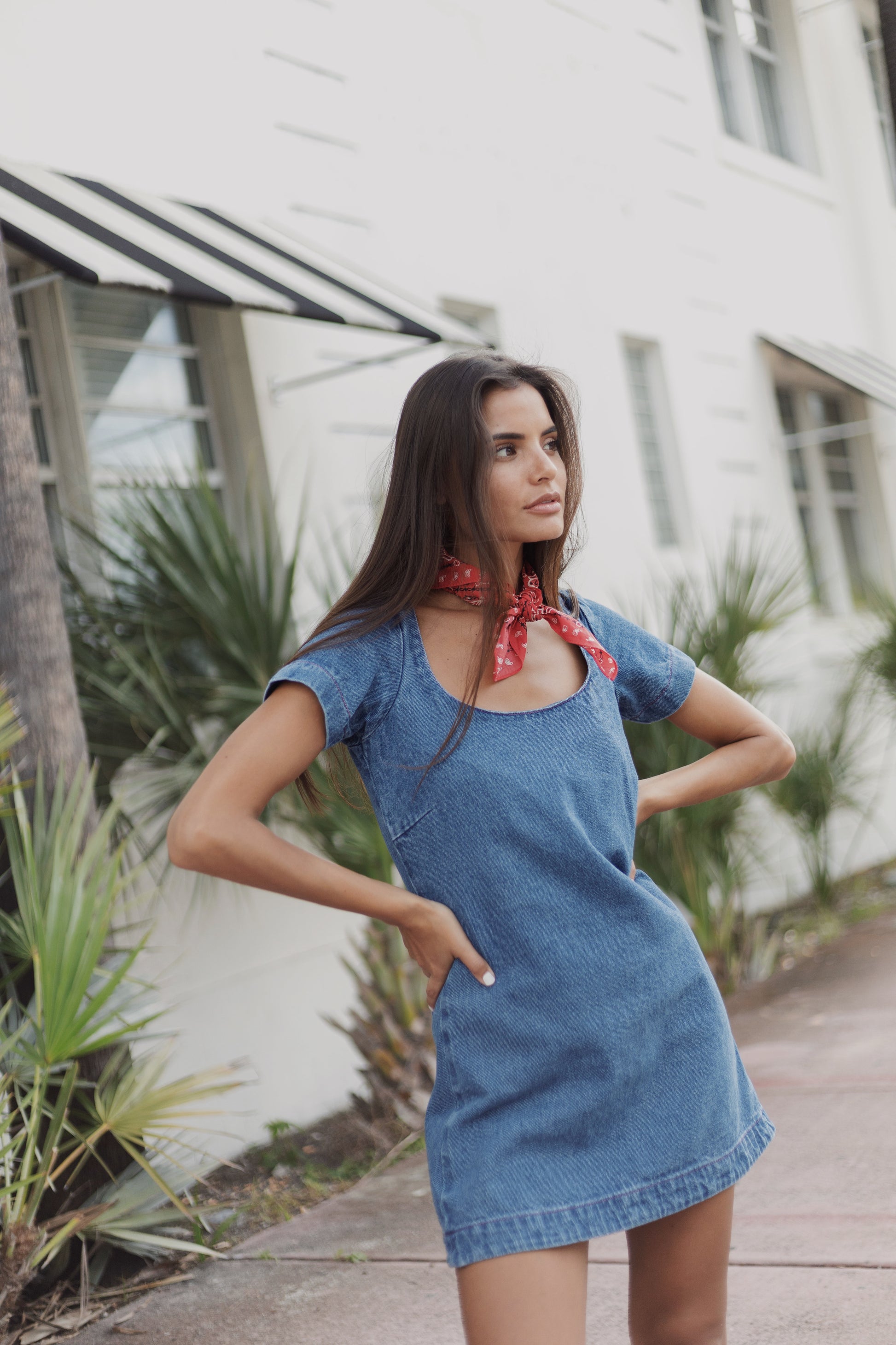 Orion Mini Dress Orion Mini Dress